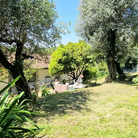 Giardino D'amore By Belcanto Nyaraló