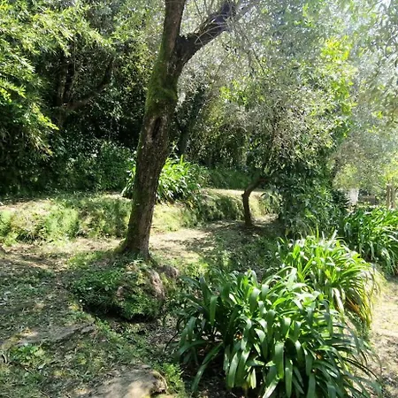 Giardino D'amore By Belcanto Mommio