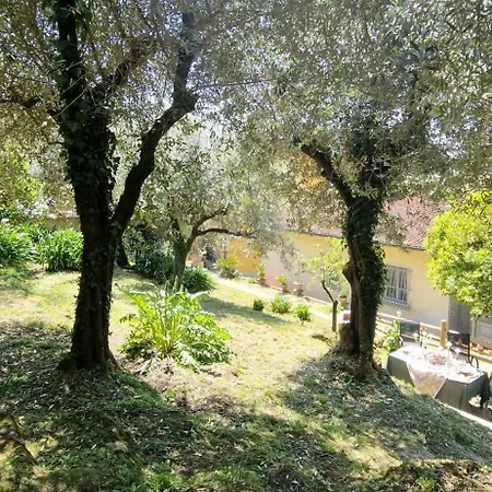 Giardino D'amore By Belcanto