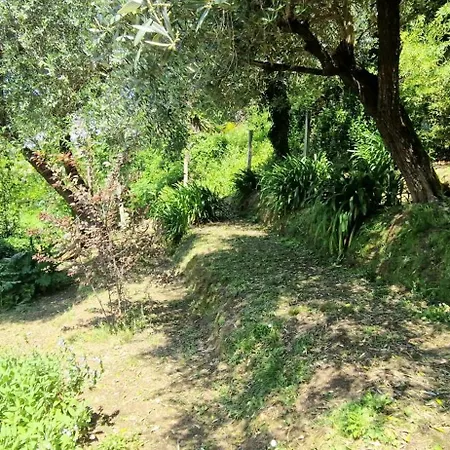 Giardino D'amore By Belcanto Nyaraló *