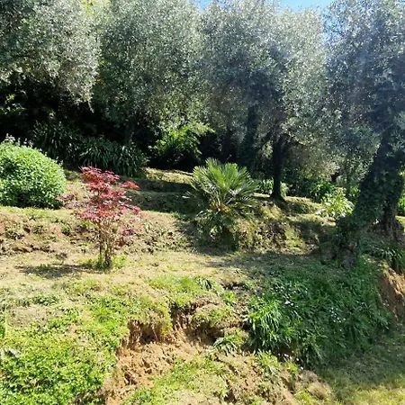 Giardino D'amore By Belcanto 펜션 *