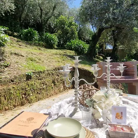 Giardino D'amore By Belcanto * Mommio